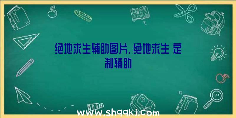 绝地求生辅助图片、绝地求生